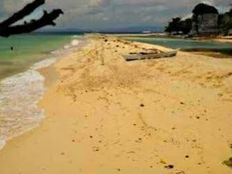 Pamilacan Island Tourist Inn And Restaurant Bohol Buitenkant foto