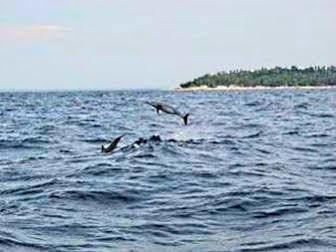 Pamilacan Island Tourist Inn And Restaurant Bohol Buitenkant foto